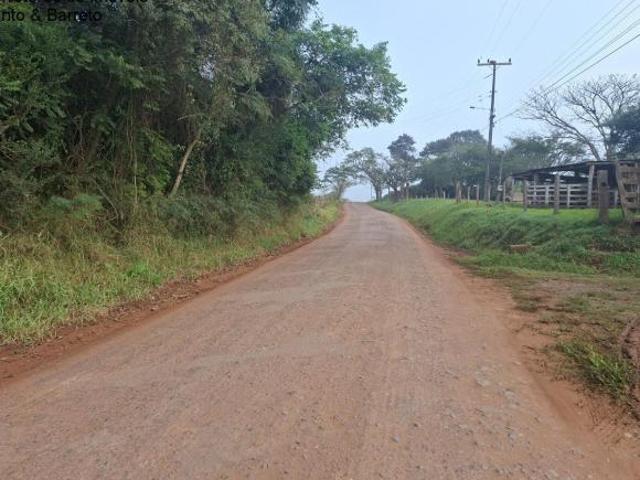 Sítio e chácara venda em Região Geográfica Imediata de Montenegro, Região Metropolitana de Porto Alegre