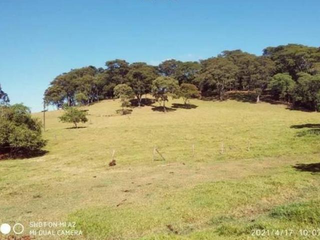 Sítio e chácara venda em Região Geográfica Imediata de Marechal Cândido Rondon, Marechal Cândido Rondon