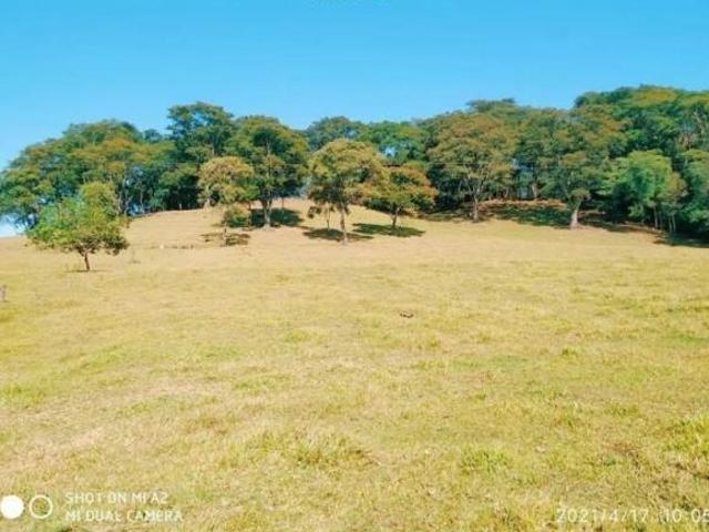 Sítio e chácara venda em Região Geográfica Imediata de Marechal Cândido Rondon, Marechal Cândido Rondon