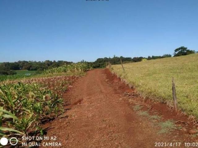 Sítio e chácara venda em Região Geográfica Imediata de Marechal Cândido Rondon, Marechal Cândido Rondon