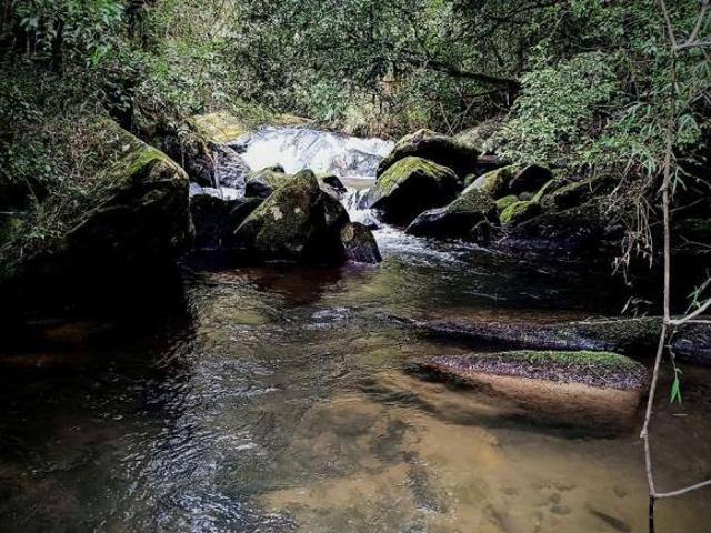Sítio e chácara venda em Região Geográfica Imediata de São Lourenço, Itamonte