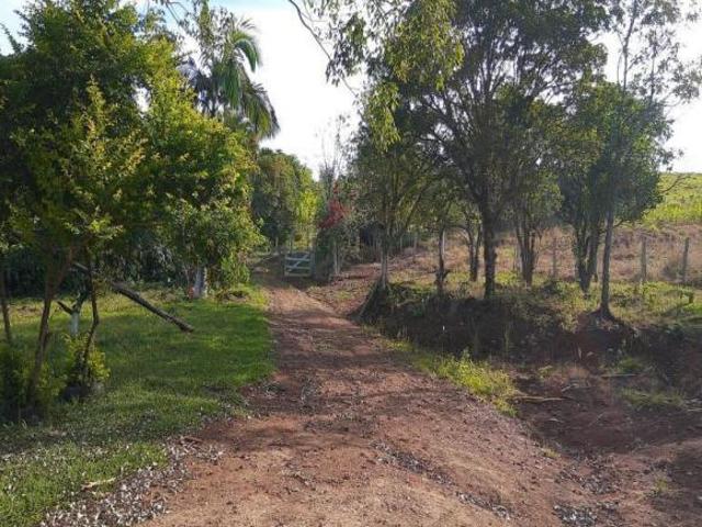 Sítio e chácara venda em Faxinal, Região Geográfica Intermediária de Londrina