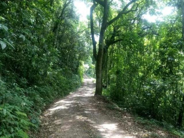 Sítio e chácara venda em Região Geográfica Imediata de Caxias do Sul, Nova Petrópolis