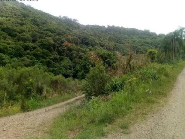 Sítio e chácara venda em Região Geográfica Imediata de Caxias do Sul, Nova Petrópolis