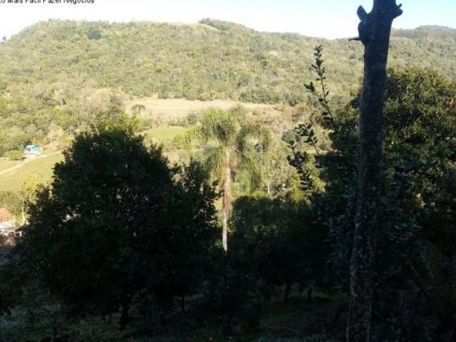 Sítio e chácara venda em Região Geográfica Imediata de Caxias do Sul, Picada Café