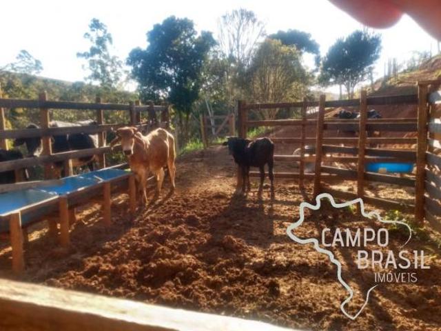 Sítio e chácara venda em Região Imediata de São José dos Campos, Região Metropolitana do Vale do Paraíba e Litoral Norte