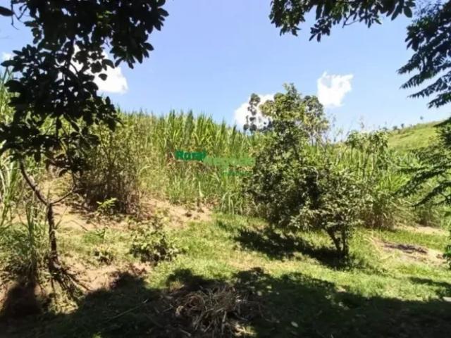 Fazenda venda em Região Imediata de Guaratinguetá, Região Metropolitana do Vale do Paraíba e Litoral Norte