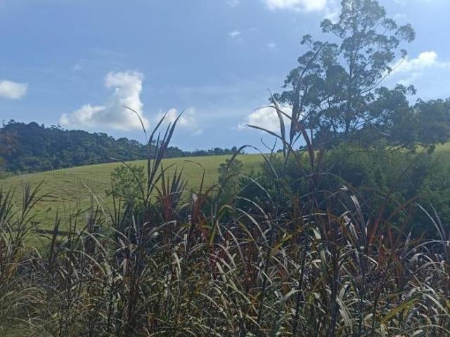 Sítio e chácara venda em Região Imediata de São José dos Campos, Região Metropolitana do Vale do Paraíba e Litoral Norte
