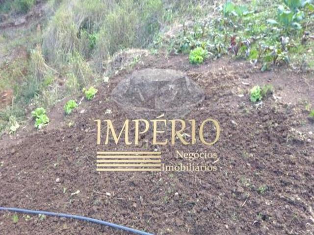 Sítio e chácara venda em Região Geográfica Imediata de Taquara - Parobé - Igrejinha, Três Coroas