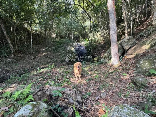 Fazenda venda em Região Geográfica Imediata de Florianópolis, Paulo Lopes