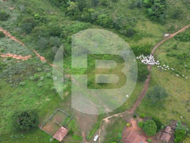 Sítio e chácara venda em Região Geográfica Imediata de Goiás - Itapuranga, Goiás