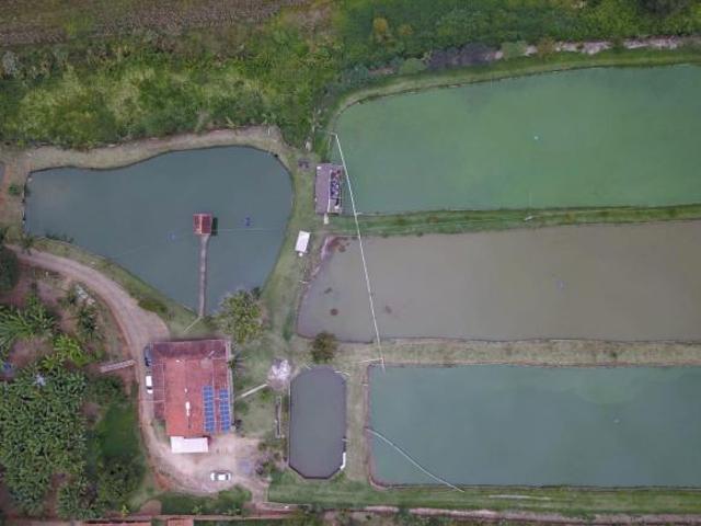 Sítio e chácara venda em Região Geográfica Imediata de Pouso Alegre, Monte Sião