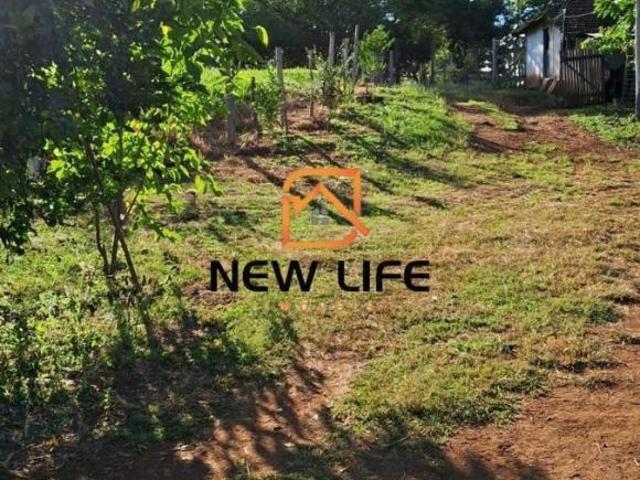 Sítio e chácara venda em Indianópolis, Região Geográfica Intermediária de Uberlândia