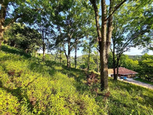 Fazenda venda em Região Geográfica Imediata de Bento Gonçalves, Garibaldi