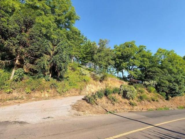 Sítio e chácara venda em Região Geográfica Imediata de Bento Gonçalves, Garibaldi