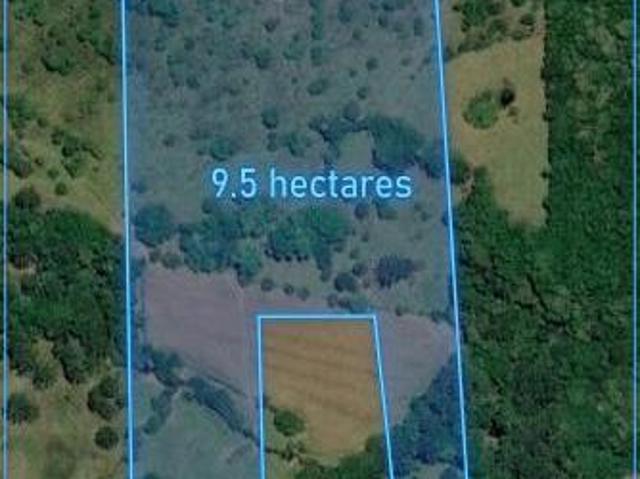 Sítio e chácara venda em Região Geográfica Imediata de Bento Gonçalves, Veranópolis