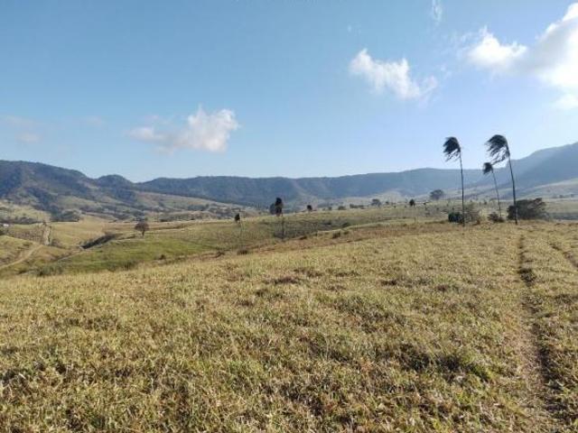 Sítio e chácara venda em Região Geográfica Imediata de Santo Antônio da Platina, Jacarezinho