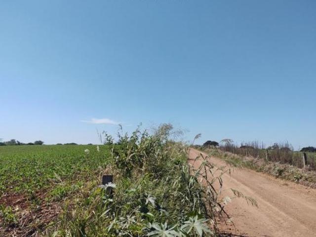 Sítio e chácara venda em Região Geográfica Imediata de Santo Antônio da Platina, Jacarezinho