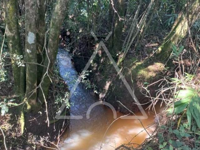 Sítio e chácara venda em Jacutinga, Região Geográfica Intermediária de Pouso Alegre