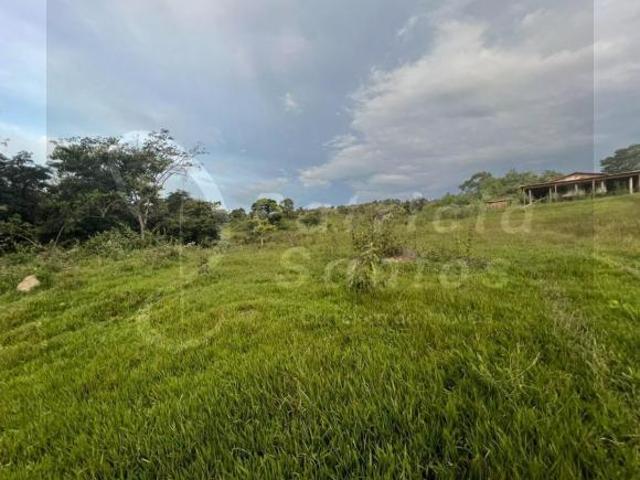 Sítio e chácara venda em Região Imediata de Amparo, Amparo