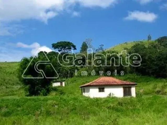 Fazenda venda em Região Imediata de Amparo, Amparo