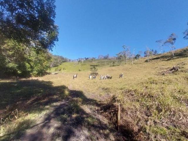 Sítio e chácara venda em Região Imediata de São Paulo, Região Metropolitana de São Paulo
