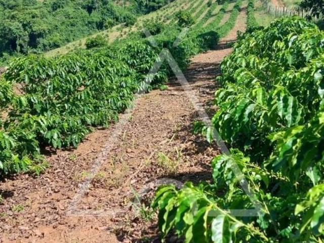 Sítio e chácara venda em Região Geográfica Imediata de Guaxupé, Juruaia