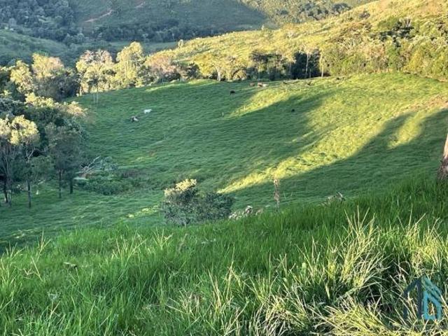 Sítio e chácara venda em Guaraniaçu, Paraná