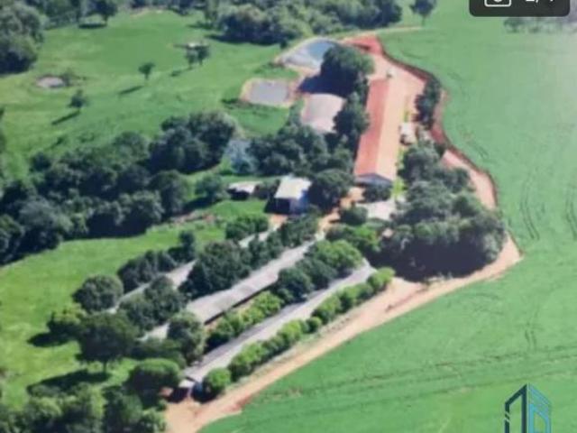 Sítio e chácara venda em Região Geográfica Imediata de Cascavel, Guaraniaçu