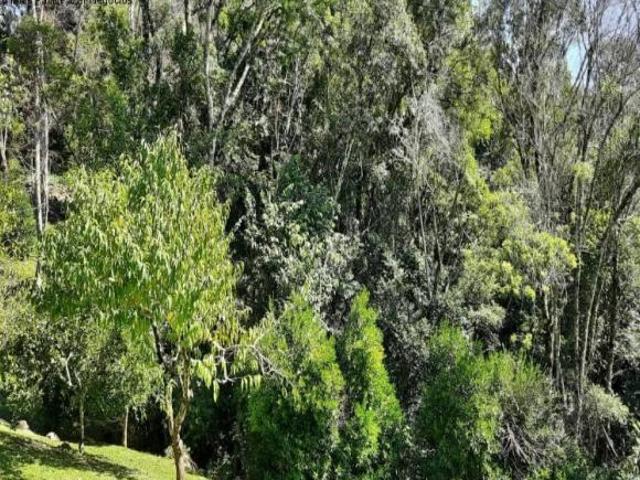 Sítio e chácara venda em Região Geográfica Imediata de Caxias do Sul, Nova Petrópolis