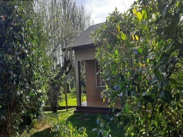 Sítio e chácara venda em Região Geográfica Imediata de Caxias do Sul, Nova Petrópolis