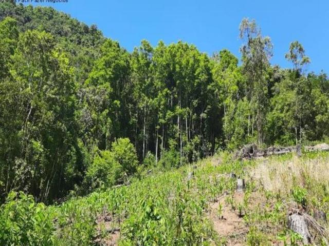 Sítio e chácara venda em Região Geográfica Imediata de Caxias do Sul, Nova Petrópolis