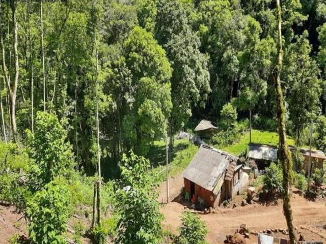 Sítio e chácara venda em Região Geográfica Imediata de Caxias do Sul, Nova Petrópolis