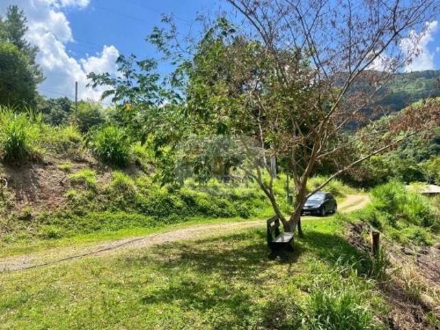 Sítio e chácara venda em Região Geográfica Imediata de Caxias do Sul, Nova Petrópolis
