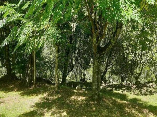 Sítio e chácara venda em Região Geográfica Imediata de Caxias do Sul, Nova Petrópolis
