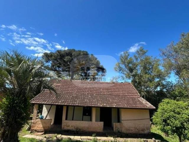 Sítio e chácara venda em Região Geográfica Imediata de Caxias do Sul, Nova Petrópolis