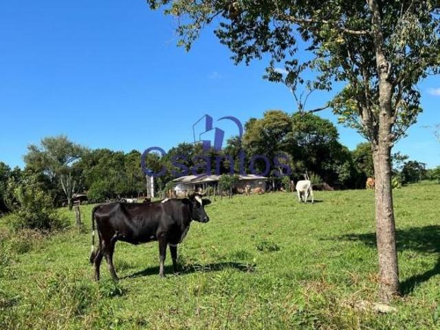 Sítio e chácara venda em Região Geográfica Imediata de Foz do Iguaçu, Missal
