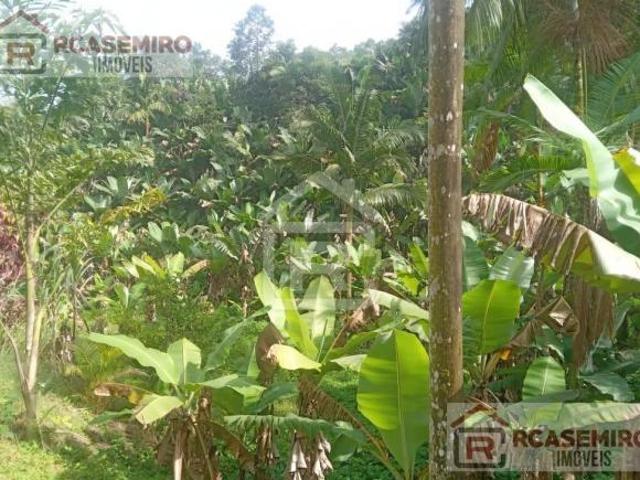 Sítio e chácara venda em Miracatu