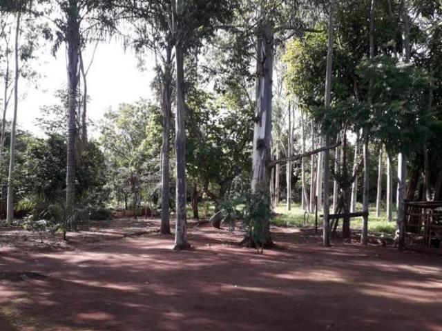 Sítio e chácara venda em Região Geográfica Imediata de Uberlândia, Oliveira Fortes