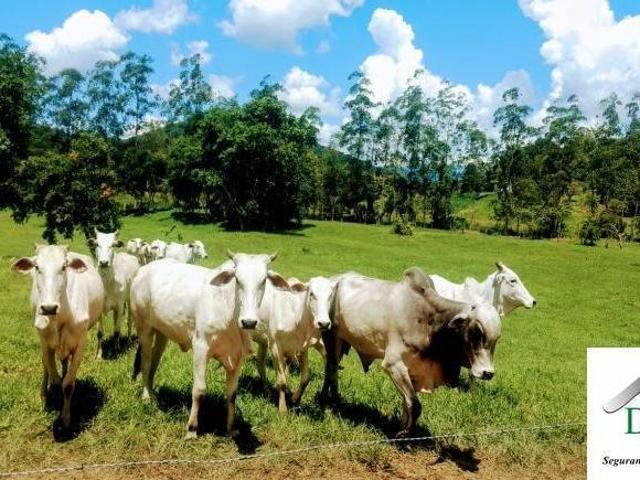 Sítio e chácara venda em Região Imediata de Registro, Miracatu