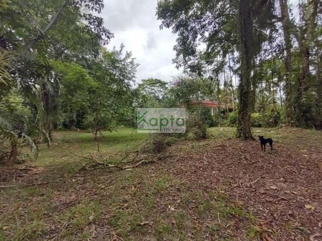 Sítio e chácara venda em Miracatu, São Paulo