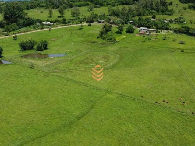 Sítio e chácara venda em Santo Antônio da Patrulha, Região Geográfica Intermediária de Porto Alegre