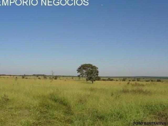 Sítio e chácara venda em Mococa