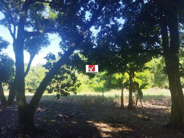Sítio e chácara venda em Mococa