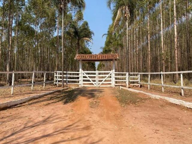 Sítio e chácara venda em Bofete