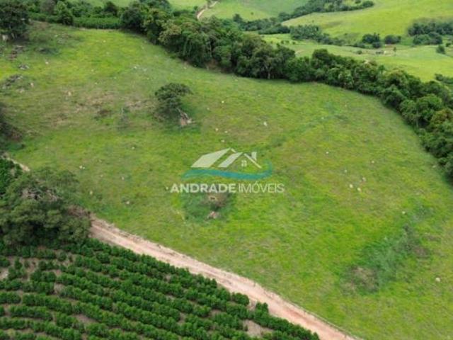 Sítio e chácara venda em Região Imediata de São José do Rio Pardo-Mococa, Caconde