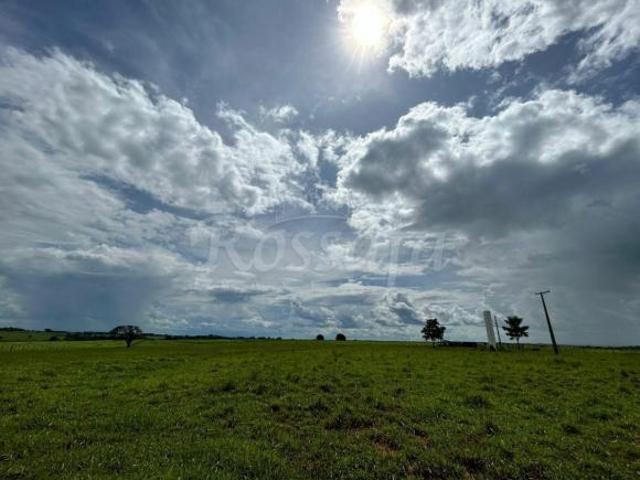 Sítio e chácara venda em Região Imediata de Jales, São Francisco