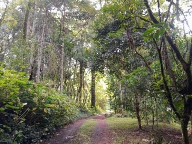 Sítio e chácara venda em Região Geográfica Imediata de Novo Hamburgo - São Leopoldo, Santa Maria do Herval