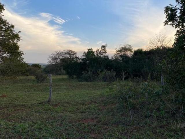 Sítio e chácara venda em Brasilândia