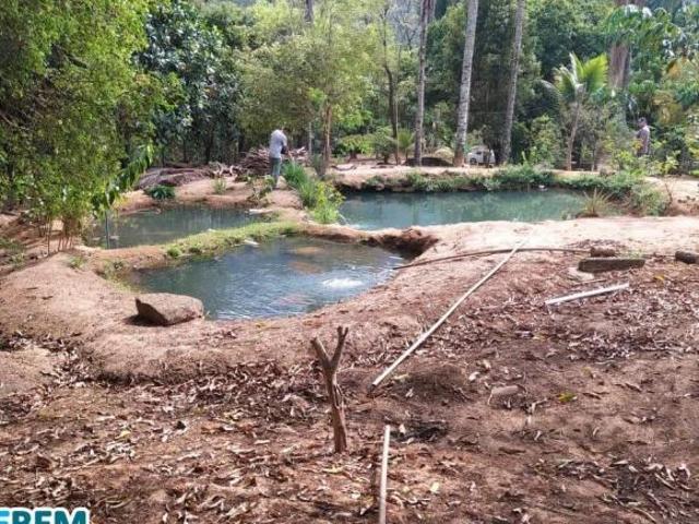 Sítio e chácara venda em Região Geográfica Imediata de Ipatinga, Região Metropolitana do Vale do Aço
